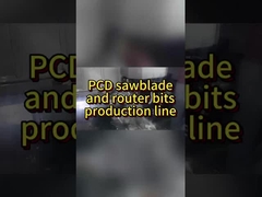 Πρακτικές PCD διαμαντένιες κυκλικές πριονιστικές λεπίδες κορυφαίας ποιότητας