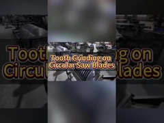 Εργασιακή ποιότητα TCT Στρογγυλή ξύλα πριονιστήρα με ρακέτες